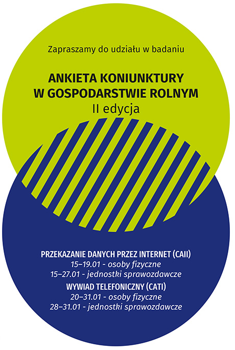 Ankieta