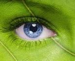 obrazek do artykułu: Zmiana terminu Targów Produktów Ekologicznych, Tradycyjnych i Naturalnych - Eco Time w Kielcach