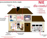 obrazek do artykułu: Nie daj się zatruć