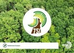 obrazek do artykułu: Zielonym do góry! Odbierz darmową sadzonkę i weź udział w akacji!